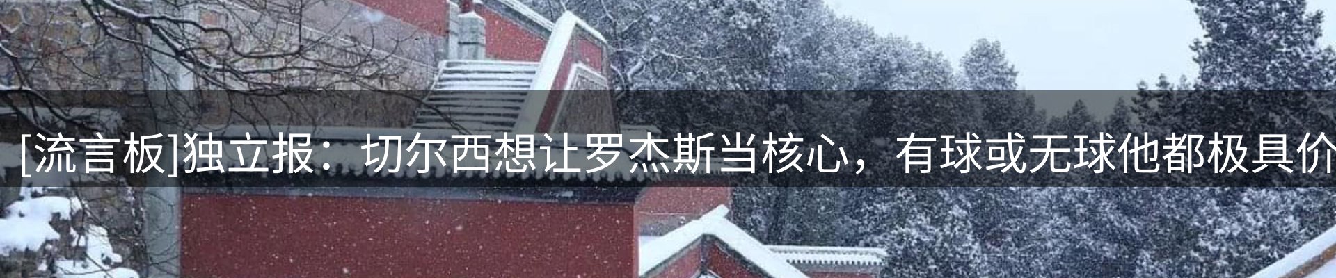 网站资讯